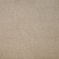 Eminence Carpet
