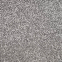 Eminence Carpet