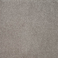 Eminence Carpet