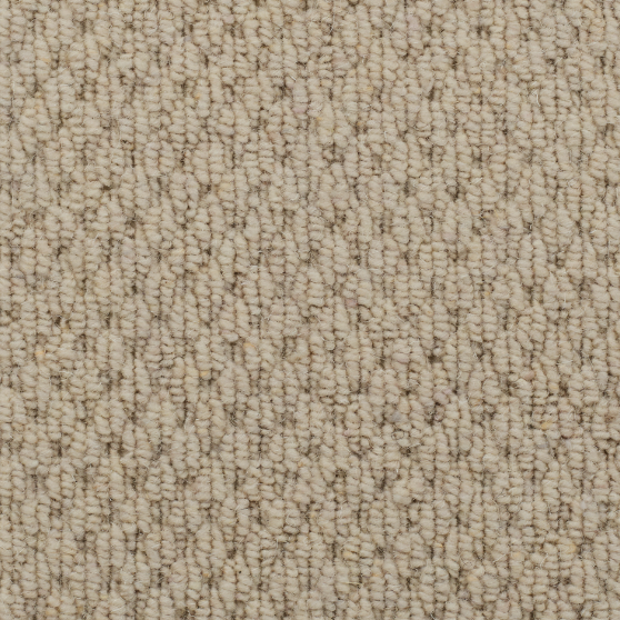Natural Origins Boucle Carpet