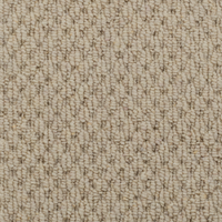 Natural Origins Boucle Carpet