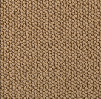 Westex Briar Natural Loop Carpet