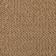 Westex Briar Natural Loop Carpet