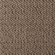 Westex Briar Natural Loop Carpet