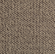 Westex Briar Natural Loop Carpet