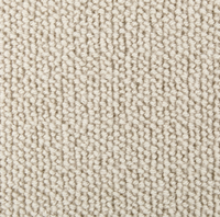 Westex Briar Natural Loop Carpet