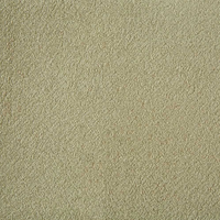 Westex Silken Velvet Carpet