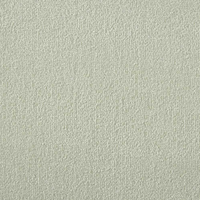 Westex Silken Velvet Carpet