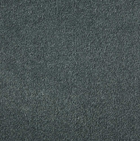 Westex Silken Velvet Carpet
