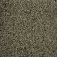 Westex Silken Velvet Carpet