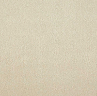 Westex Silken Velvet Carpet