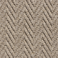 Andes Carpet