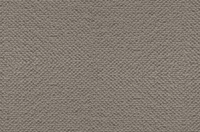 Open Spaces Auckland Carpet - Ulster