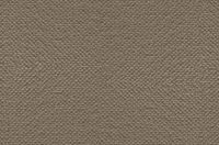 Open Spaces Auckland Carpet - Ulster