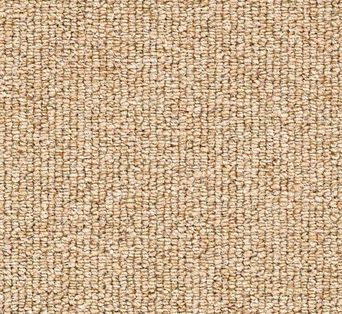 Cosy Loop Carpet