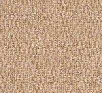 Cosy Boucle Carpet