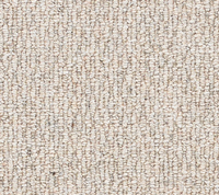 Cosy Boucle Carpet