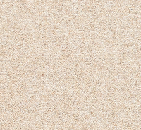 Snuggle Carpet