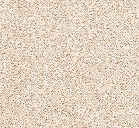 Snuggle Carpet