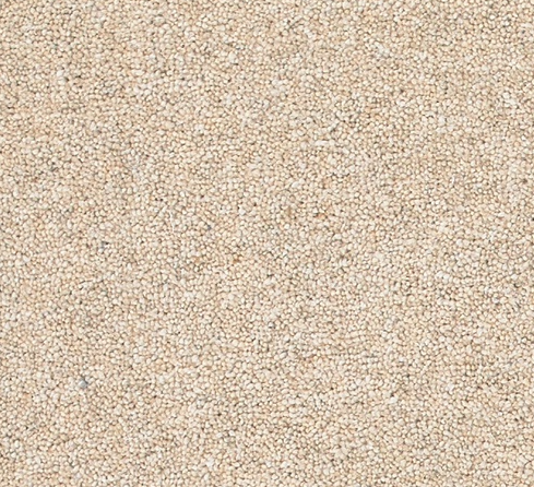 Snuggle Carpet