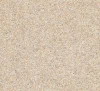Snuggle Carpet