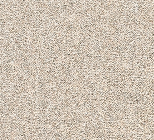 Snuggle Carpet