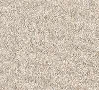 Snuggle Carpet