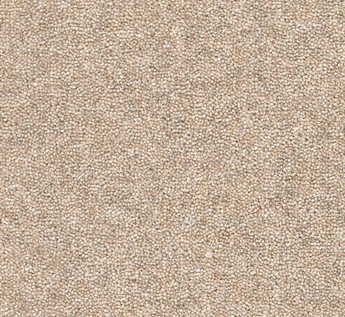 Snuggle Carpet