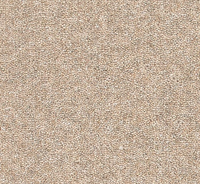 Snuggle Carpet
