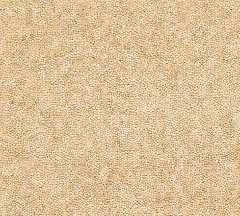 Snuggle Carpet