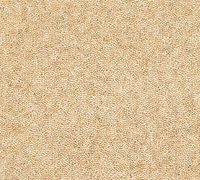 Snuggle Carpet