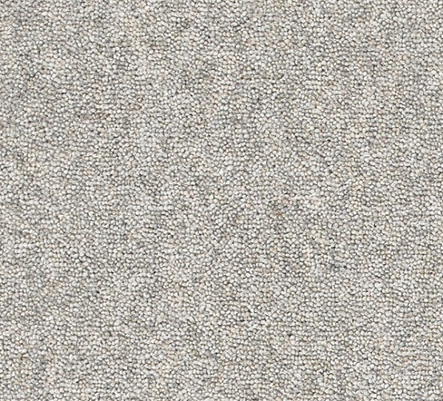 Snuggle Carpet
