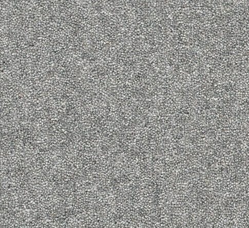 Snuggle Carpet