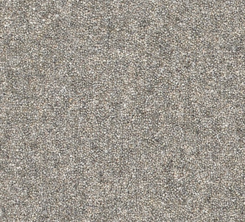 Snuggle Carpet