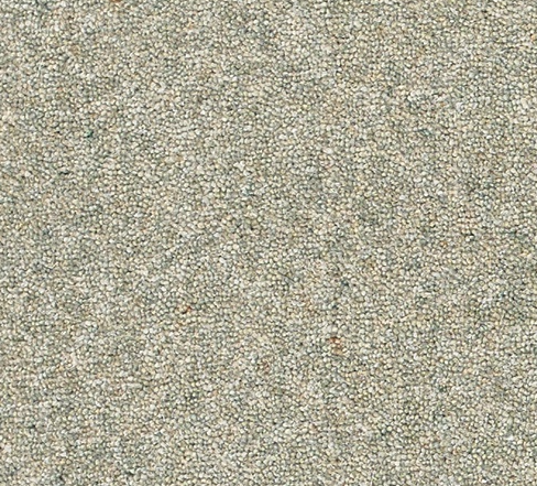 Snuggle Carpet