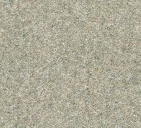 Snuggle Carpet