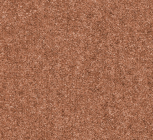 Snuggle Carpet