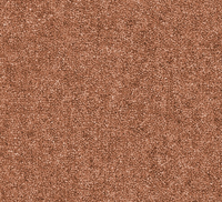 Snuggle Carpet