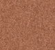 Snuggle Carpet