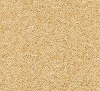Joy Carpet