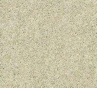 Joy Carpet