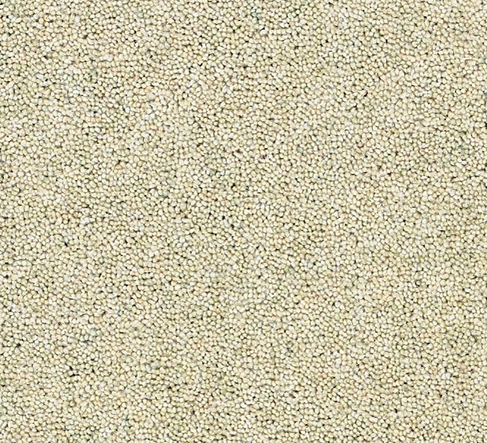 Joy Carpet