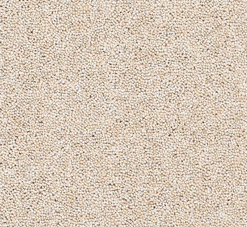 Joy Carpet
