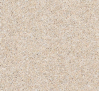 Joy Carpet
