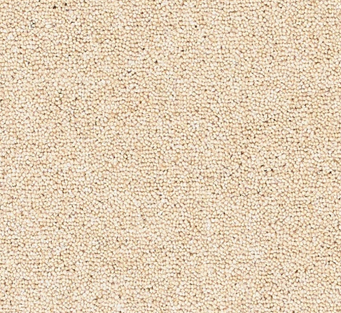 Joy Carpet