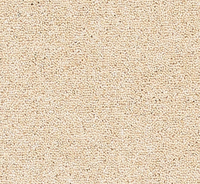 Joy Carpet