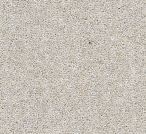 Joy Carpet