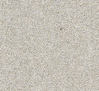 Joy Carpet
