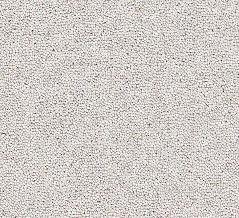 Joy Carpet