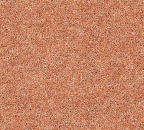 Joy Carpet